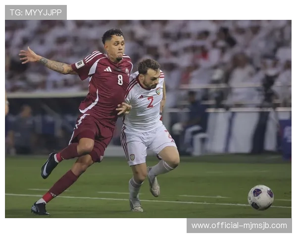 2026年卡塔尔世界杯参赛国家一览表，详细介绍各国出线情况与比赛亮点